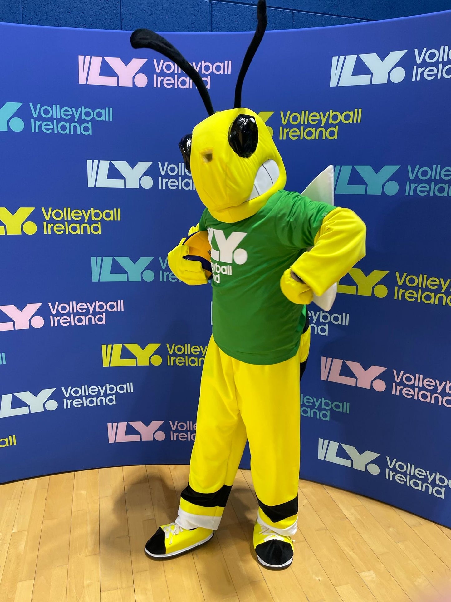 VLY T-Shirt