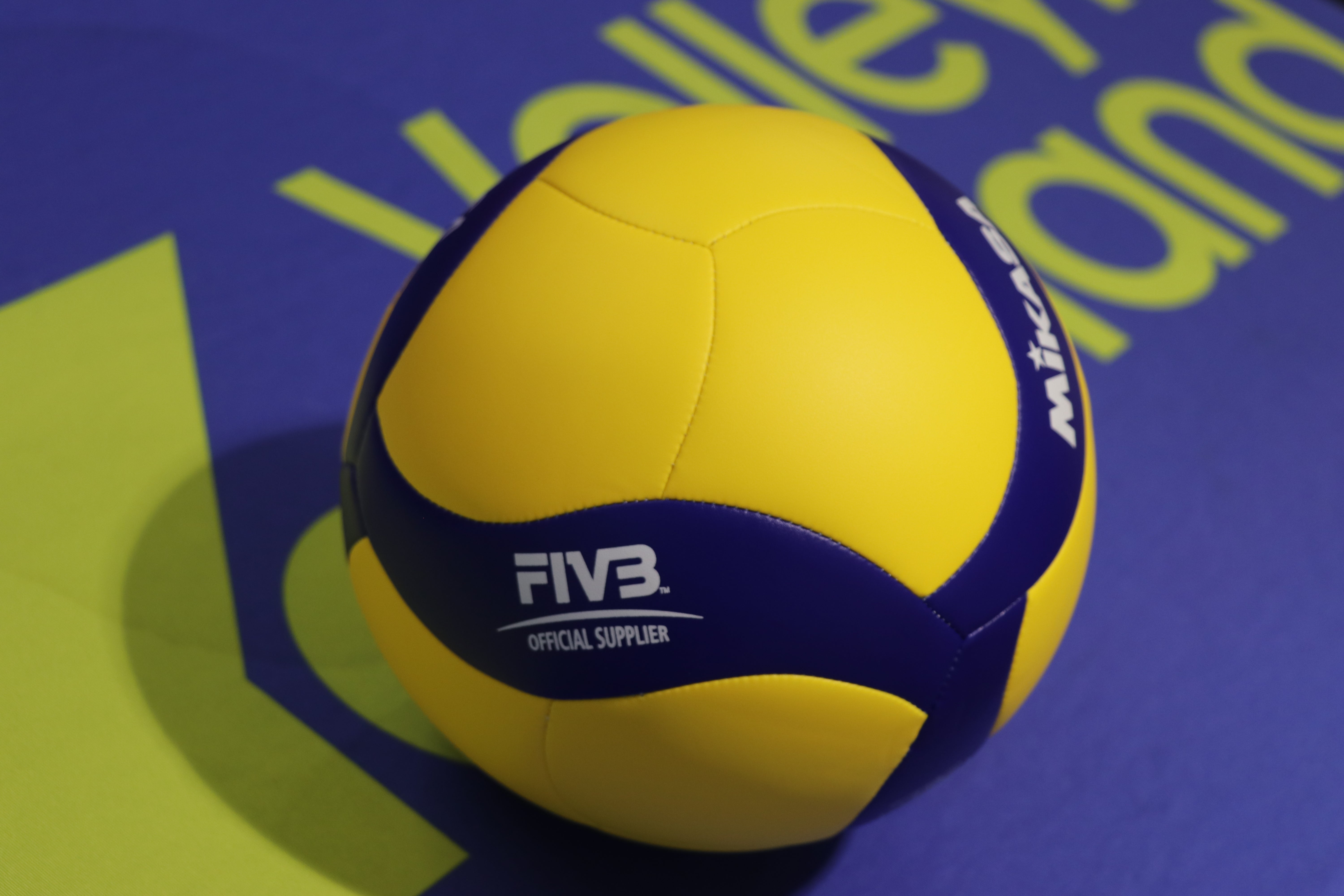 Official on sale indoor volleyball